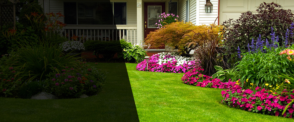 Rayville Landscapers