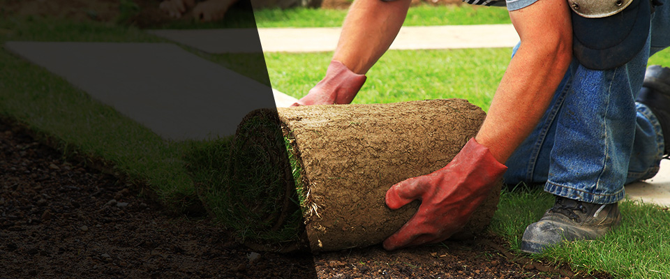 Rayville Landscapers